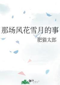 他怀念的柒合