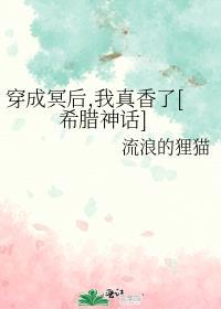 造梦师电视剧